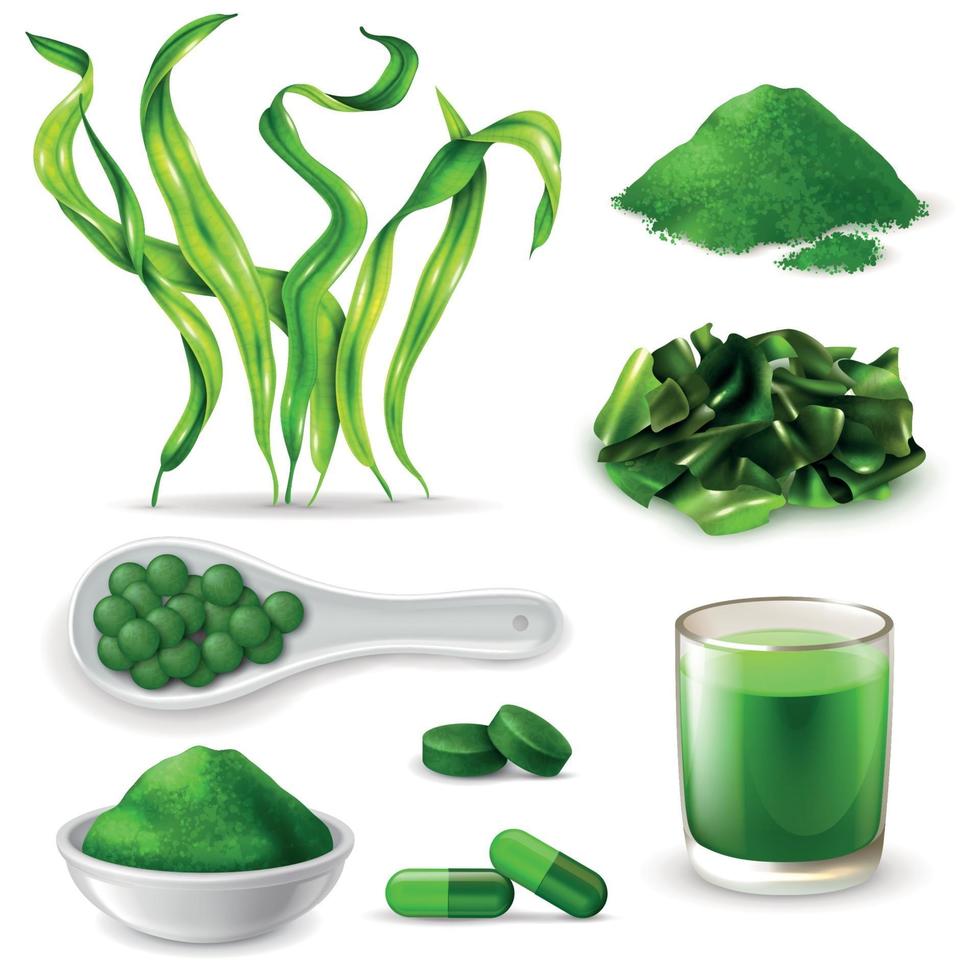 Spirulina realistico set illustrazione vettoriale