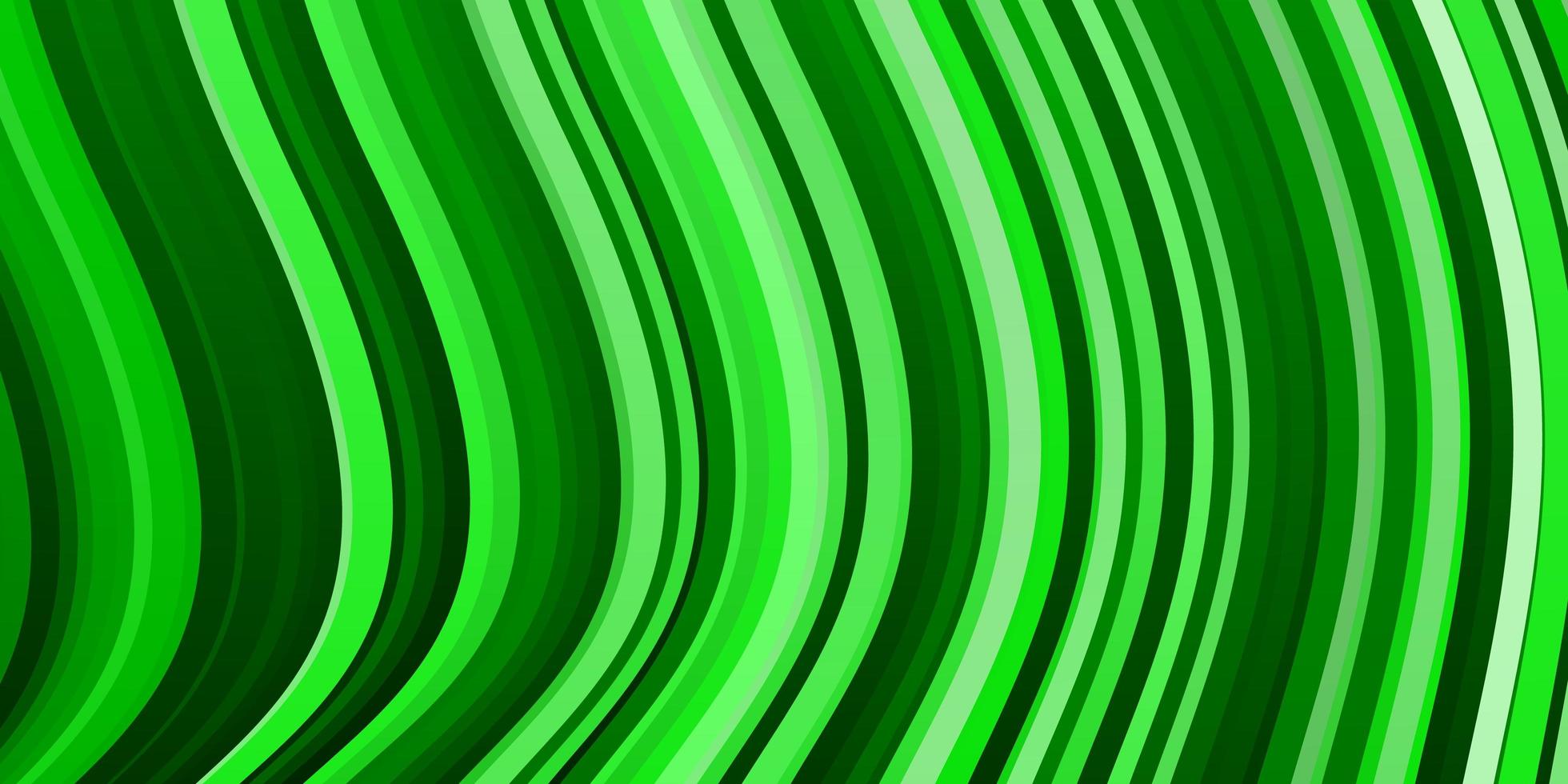 sfondo vettoriale verde chiaro con arco circolare.