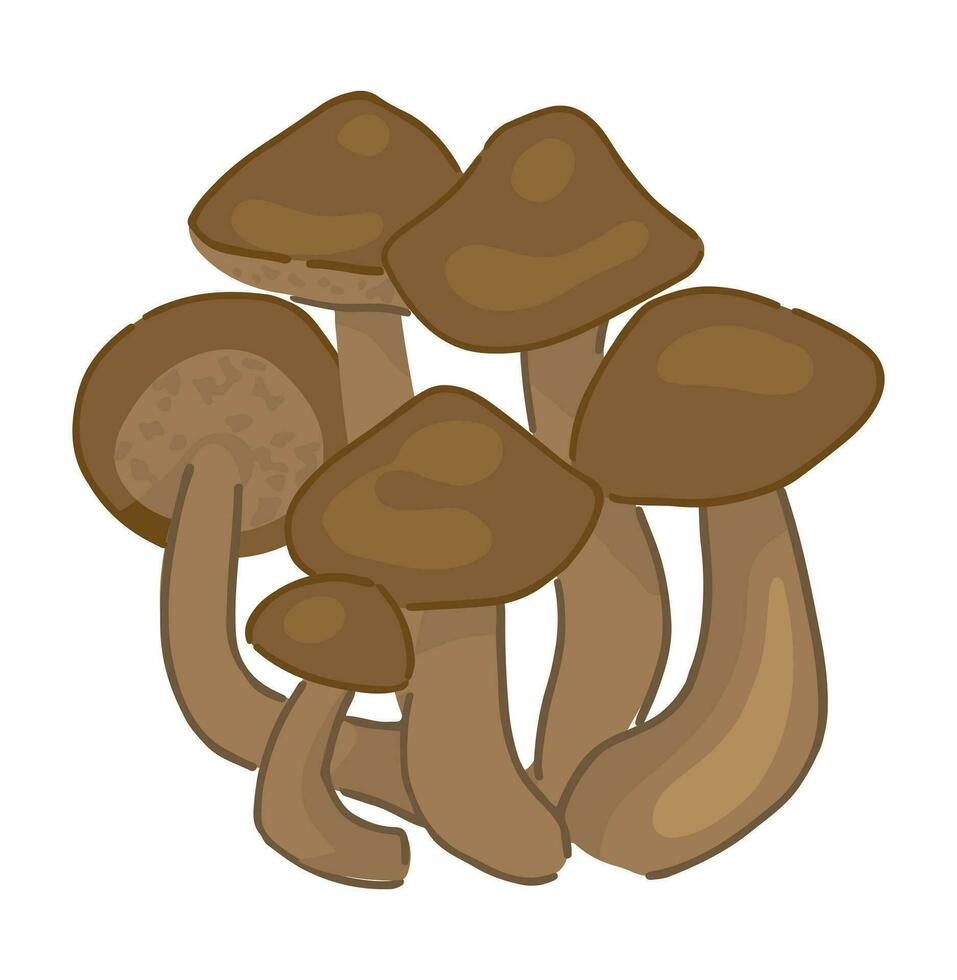 clipart di commestibile fungo miele fungo. scarabocchio di autunno foresta raccolto. cartone animato vettore illustrazione isolato su bianca sfondo.