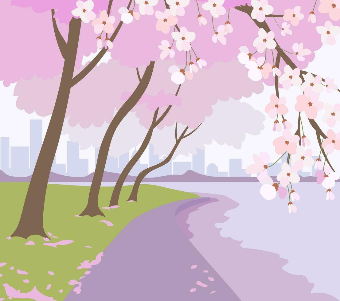 parco con ciliegia fiorire alberi lungo il fiume. vettore illustrazione di sakura. design sfondo per il striscione.
