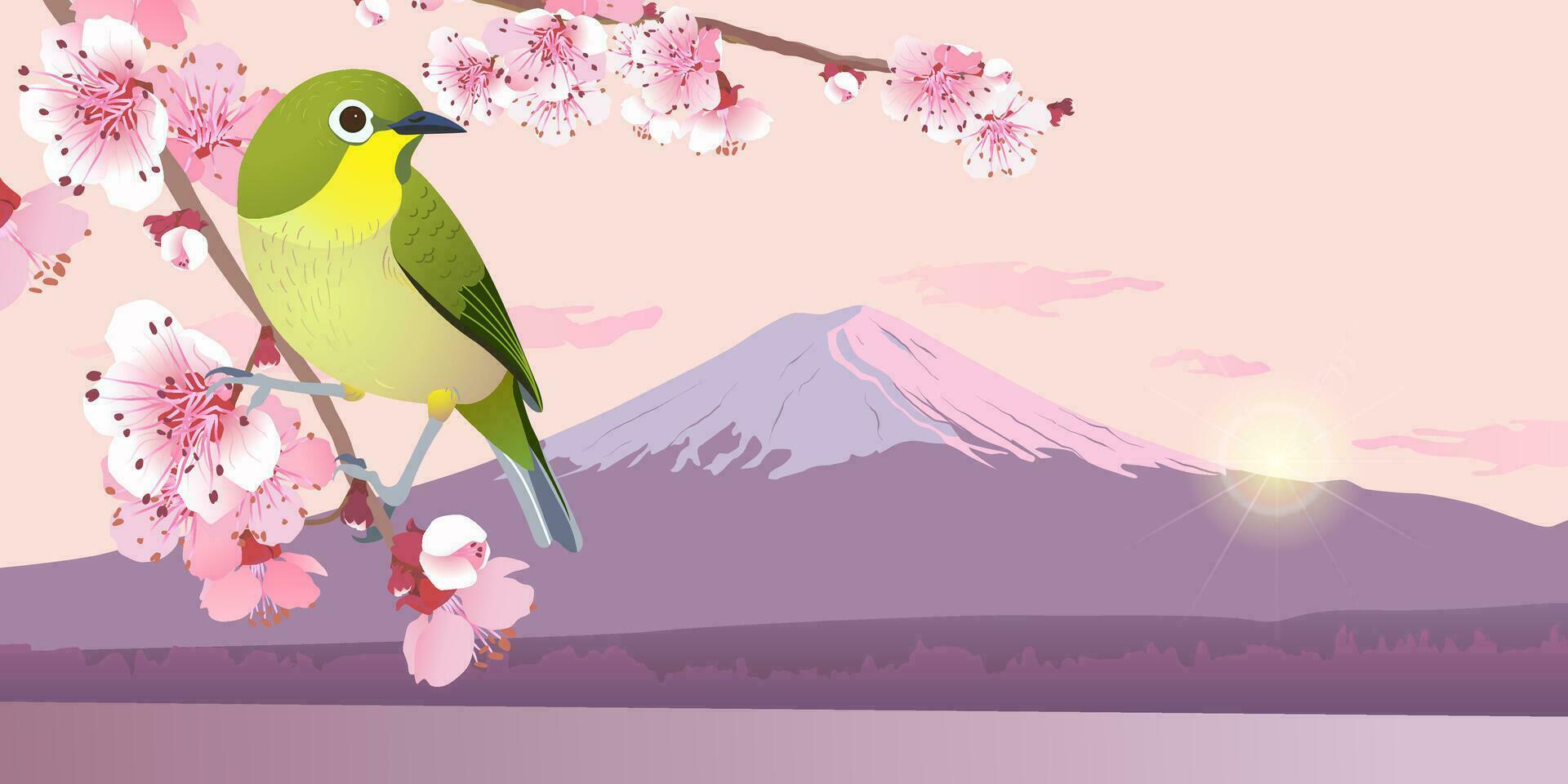 giapponese usignolo su un' ramo di ciliegia fiori. hanami nel Giappone. montare fuji nel primavera. Alba nel il cielo nel primavera. rosa sakura e uguisu vettore