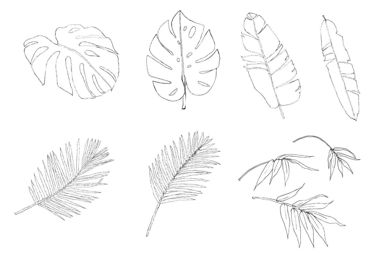 tropicale le foglie schizzo schema collezione vettore