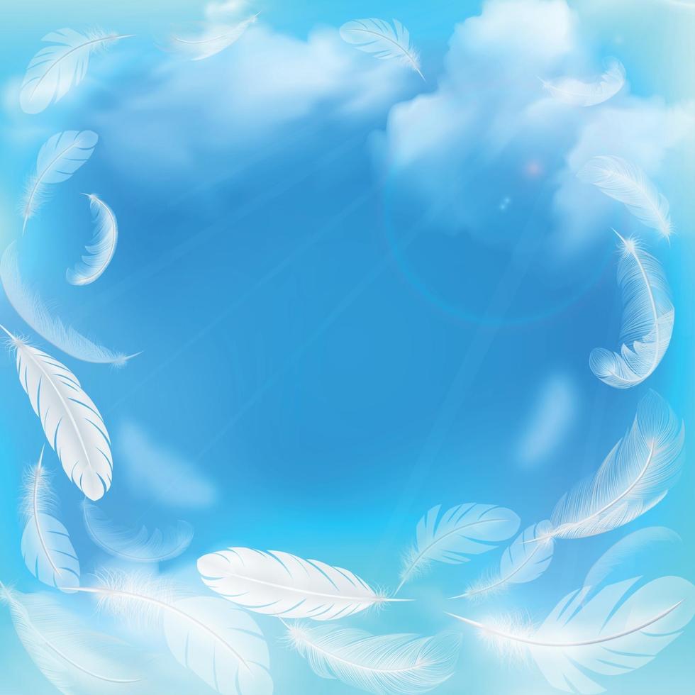 piume bianche sull'illustrazione vettoriale del cielo blu blue