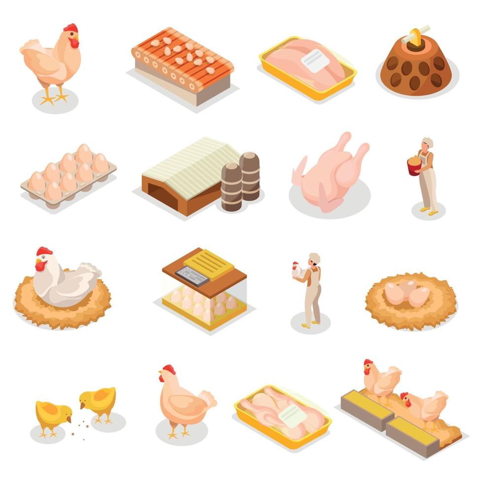 set di icone isometriche di pollo illustrazione vettoriale