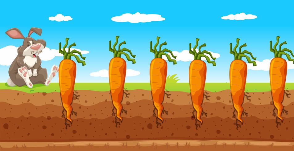 Un coniglietto nella fattoria delle carote vettore