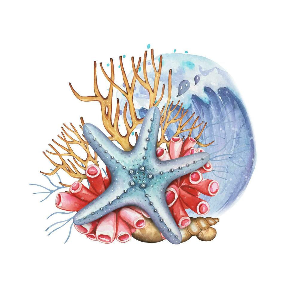 mano disegnato marino composizione con blu stella marina, coralli, acquerello vettore