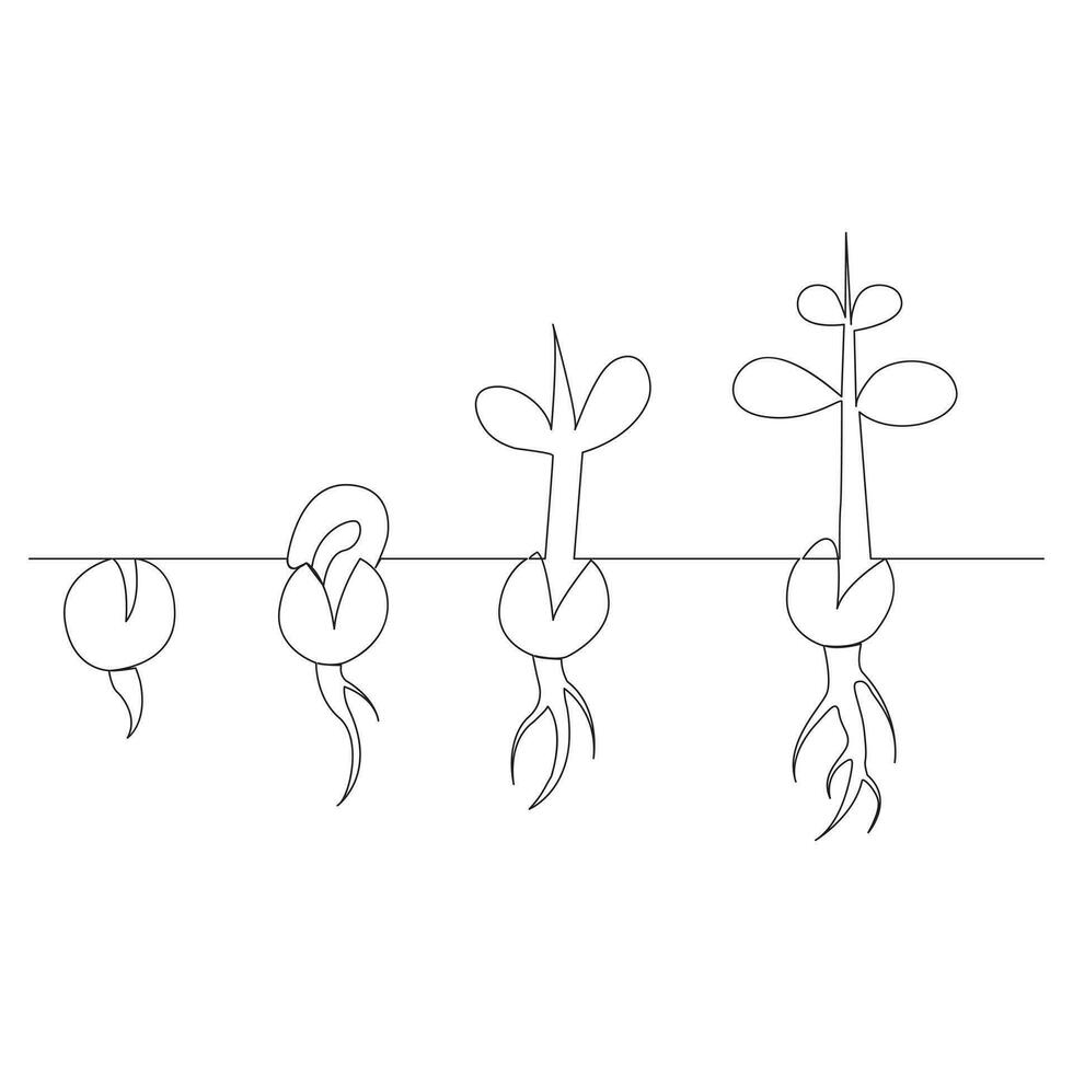 singolo linea pianta crescita in lavorazione a partire dal seme illustrazione vettore