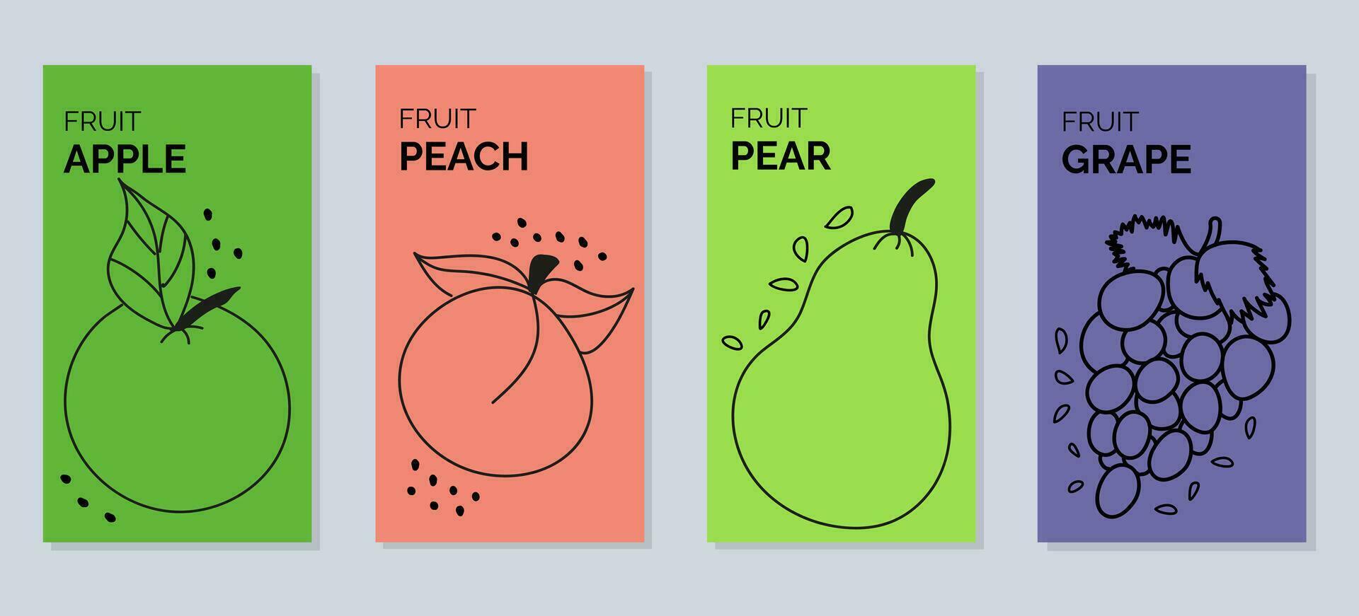 quattro banner con contorno illustrazioni di frutta - Pera, pesca, mela, uva vettore