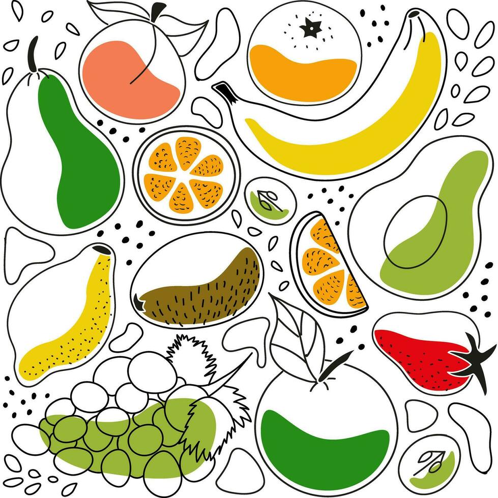 scarabocchi contorno impostato di illustrazioni di frutta e frutti di bosco - mela, pesca, Pera, avocado, agrumi, arancia, fragola, Banana, uva, kiwi, Limone, mandarino vettore