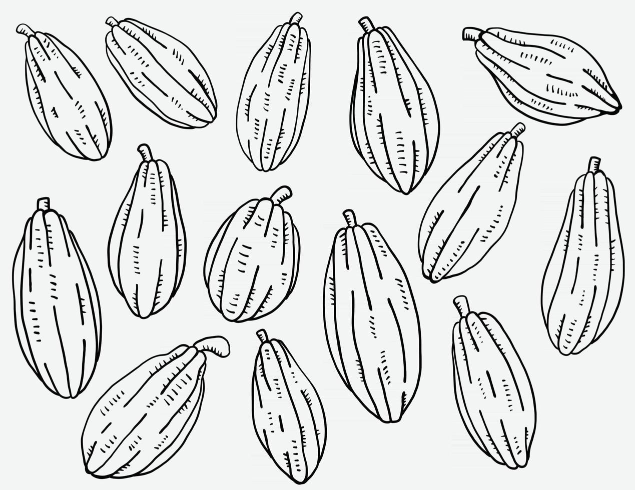 scarabocchiare a mano libera disegno della raccolta di frutti di cacao. vettore