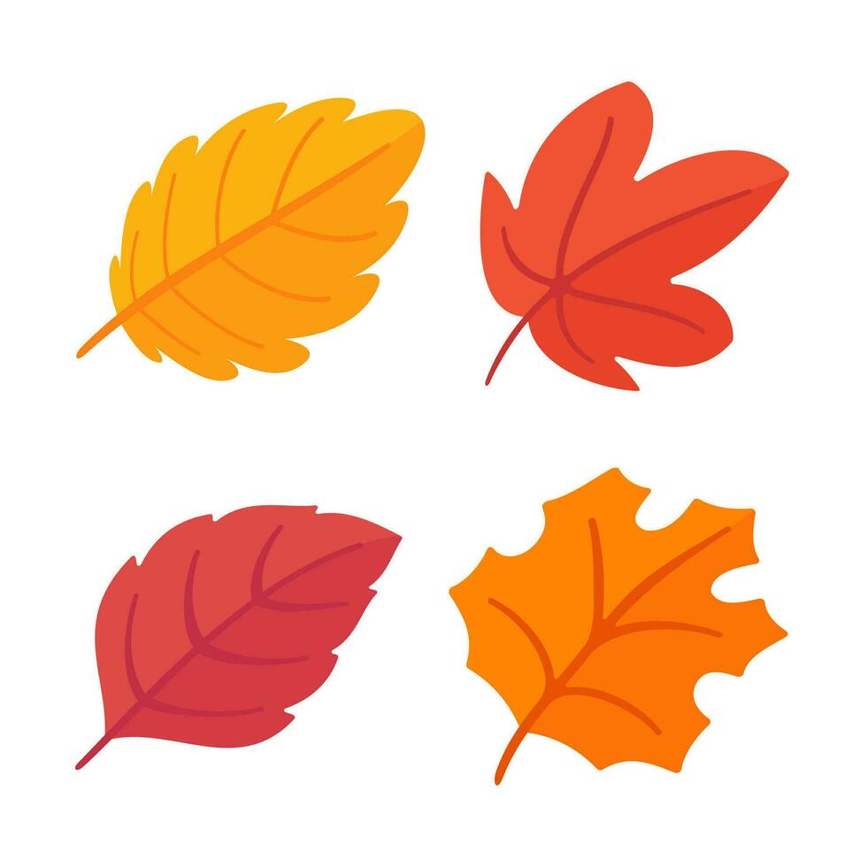 bellissimo foglia composizione. le foglie modificare colore nel autunno vettore