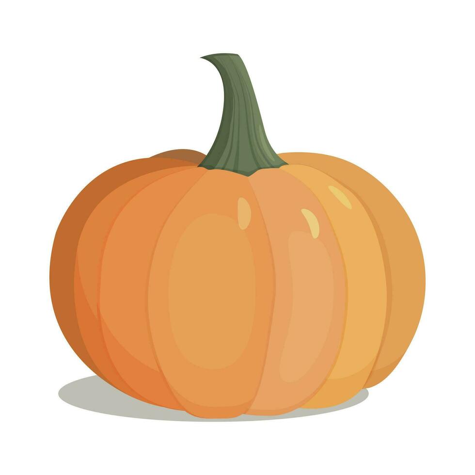 autunno Halloween zucca, verdura grafico icona. arancia zucca vettore illustrazione isolato su bianca sfondo.