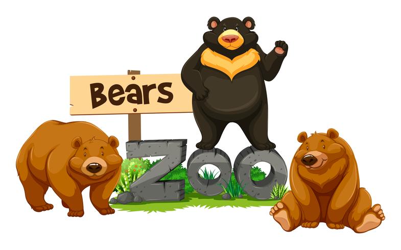 Tre orsi nello zoo vettore