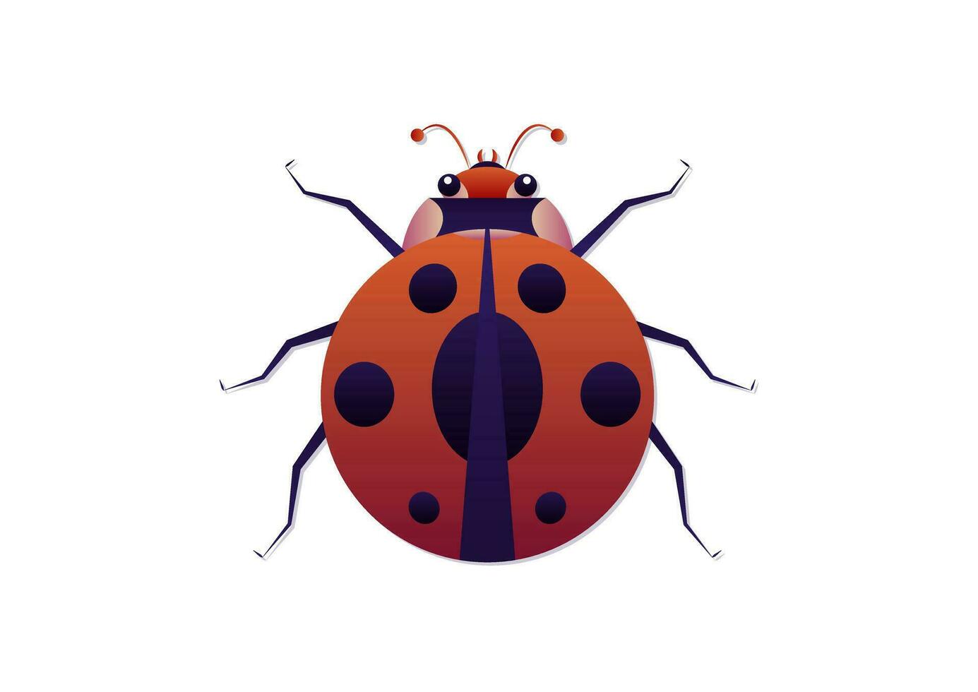 coccinella vettore arte nel piatto stile. coccinella clipart isolato su bianca sfondo