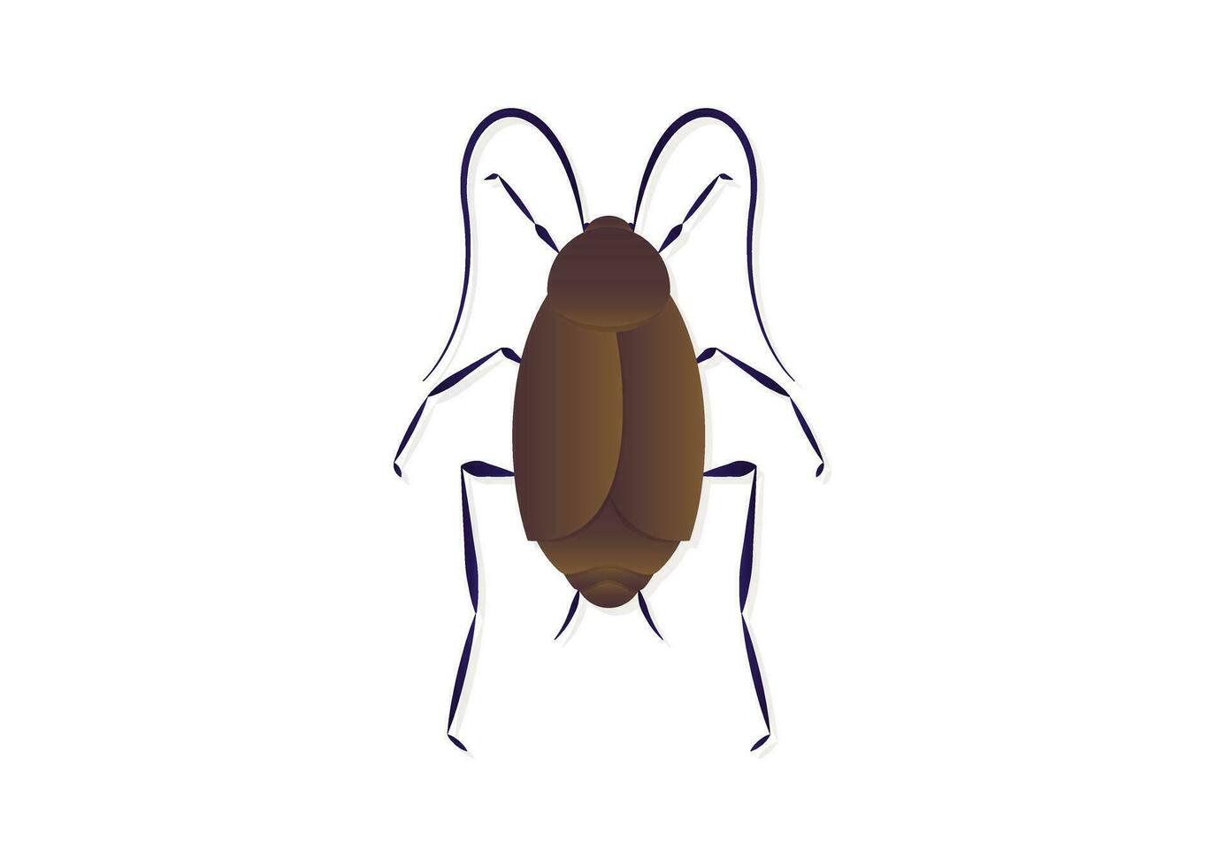 orientale scarafaggio vettore arte isolato su bianca sfondo