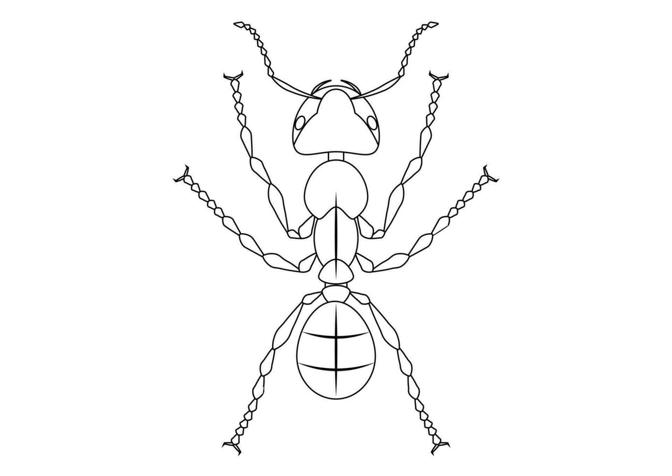 nero e bianca formica clipart. colorazione pagina di formica vettore
