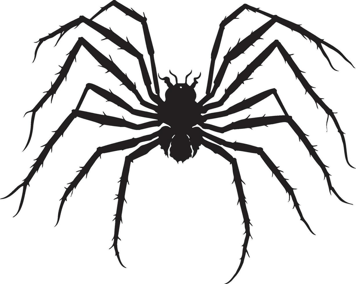 nero ragno di Halloween vettore