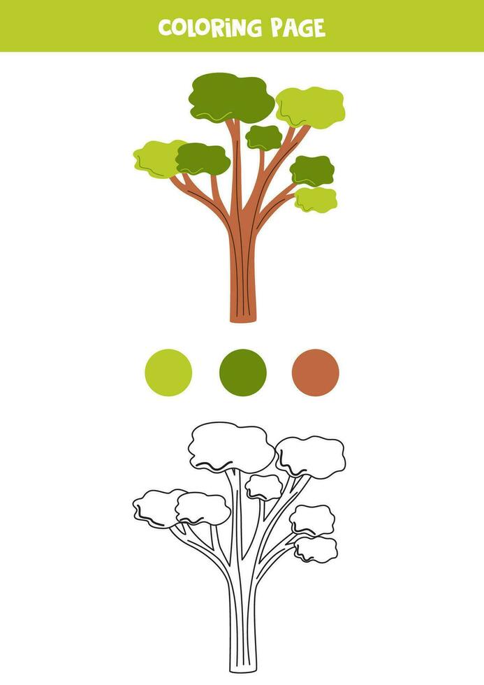 colore carino cartone animato eucalipto albero. foglio di lavoro per bambini. vettore