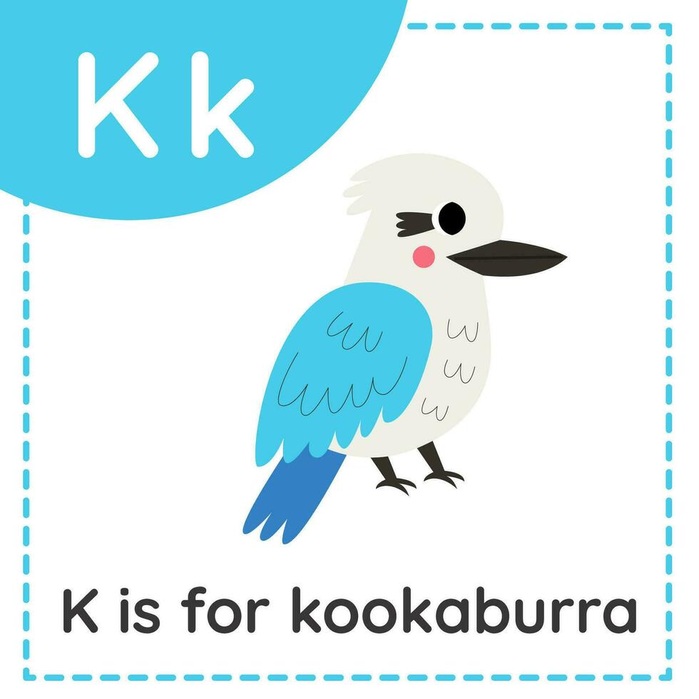 apprendimento inglese alfabeto per bambini. lettera K. carino cartone animato kookaburra. vettore