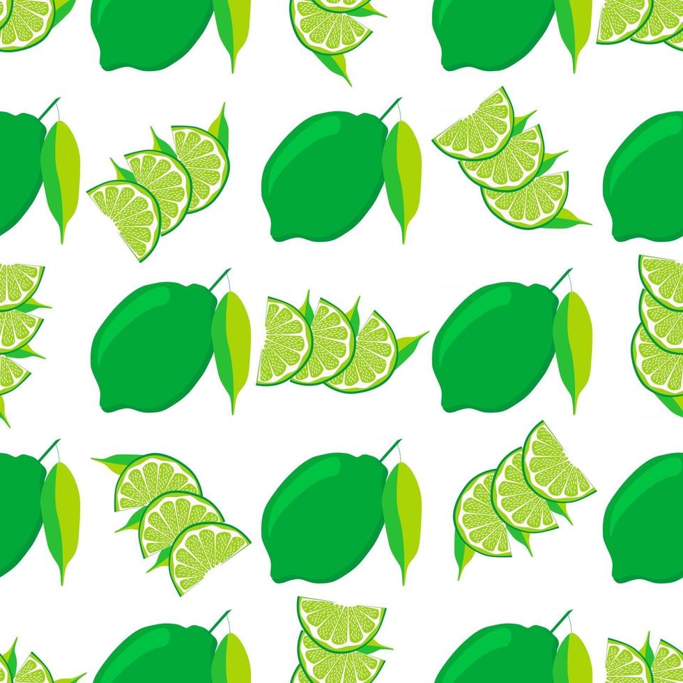 illustrazione sul tema lime verde senza cuciture grande colorato vettore