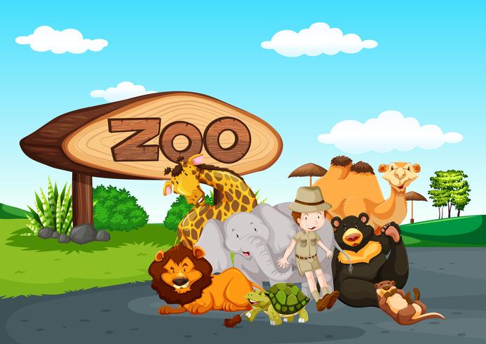 Scena dello zoo con molti animali selvatici vettore