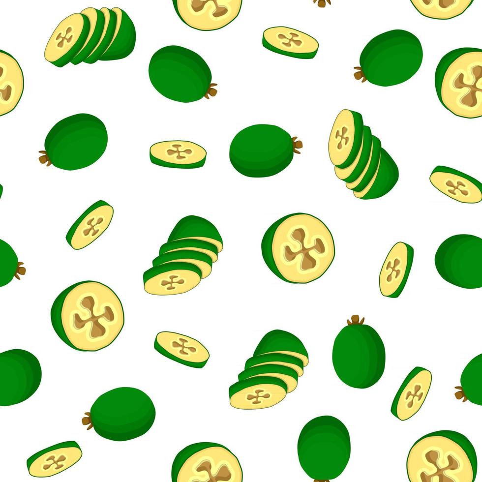 illustrazione sul tema grande feijoa colorato senza cuciture vettore