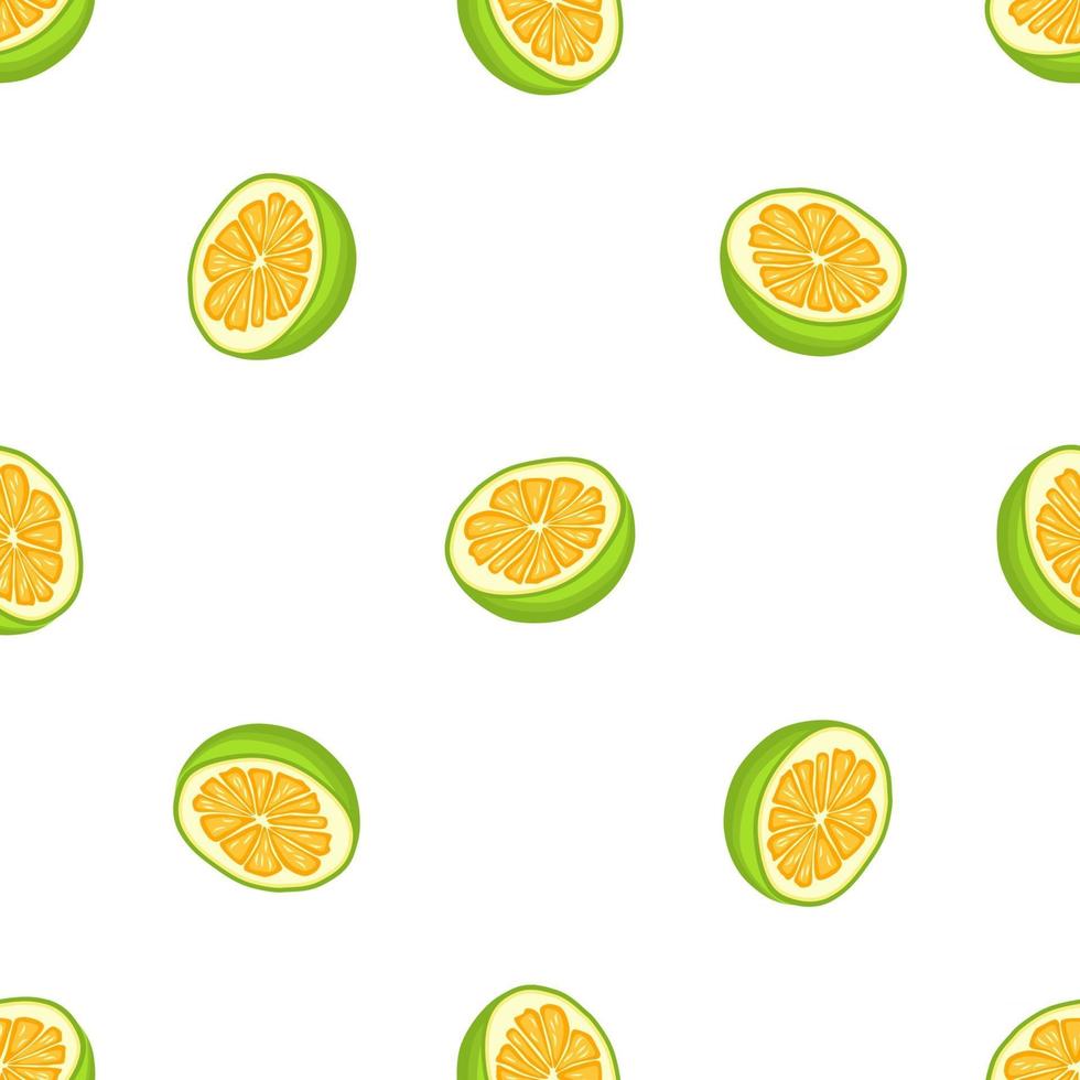 illustrazione sul tema grande pomelo senza cuciture colorato vettore