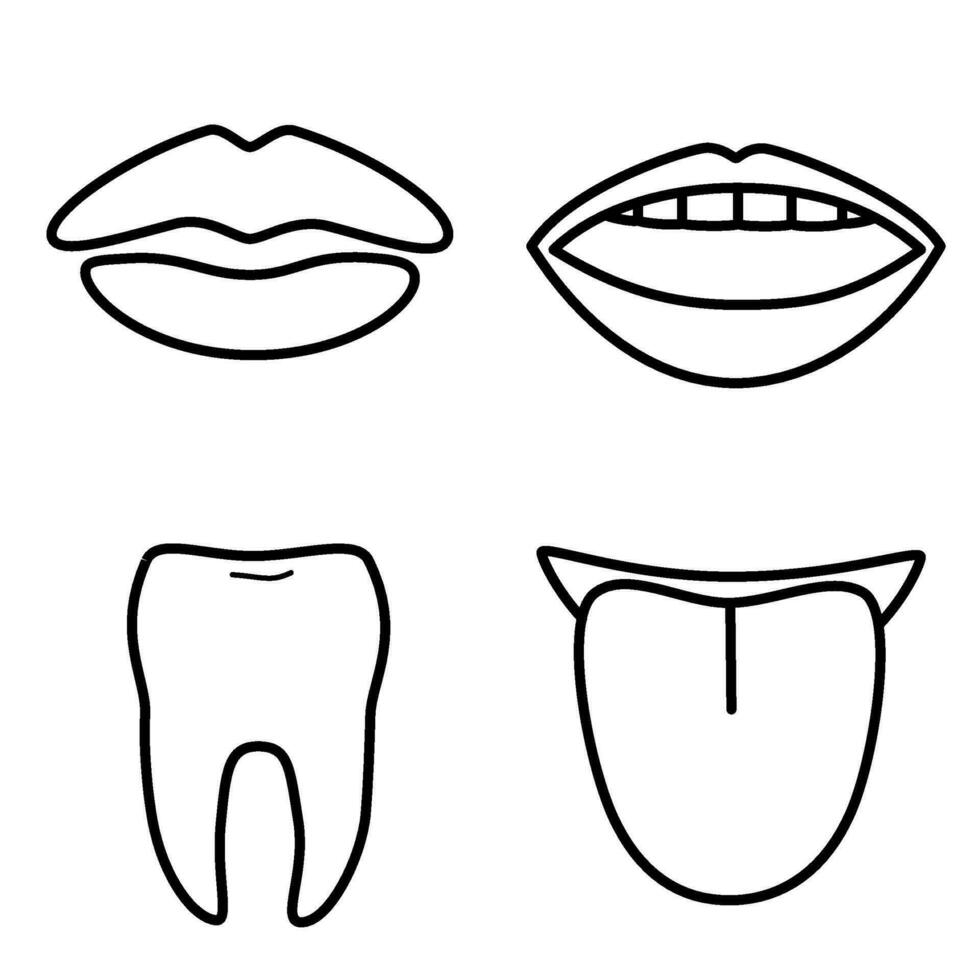 un' impostato di quattro diverso tipi di denti e labbra vettore