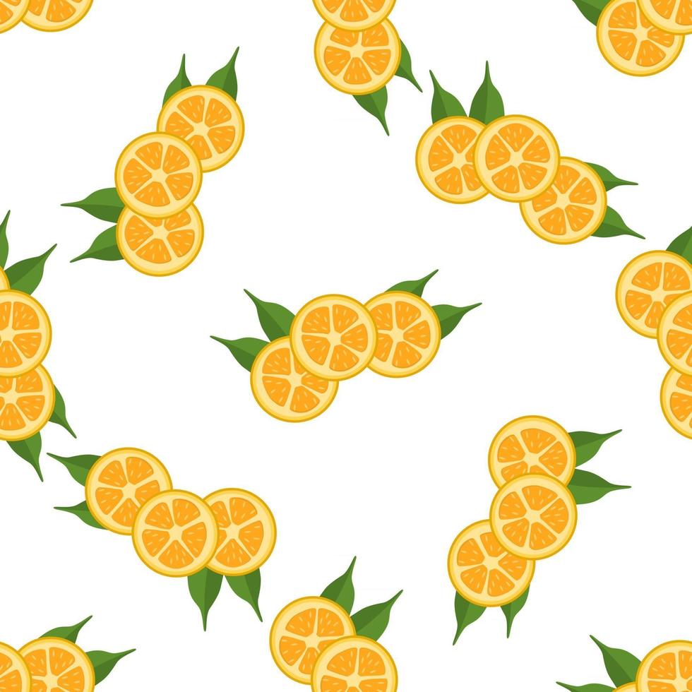 illustrazione sul tema grande kumquat big colorato senza soluzione di continuità vettore