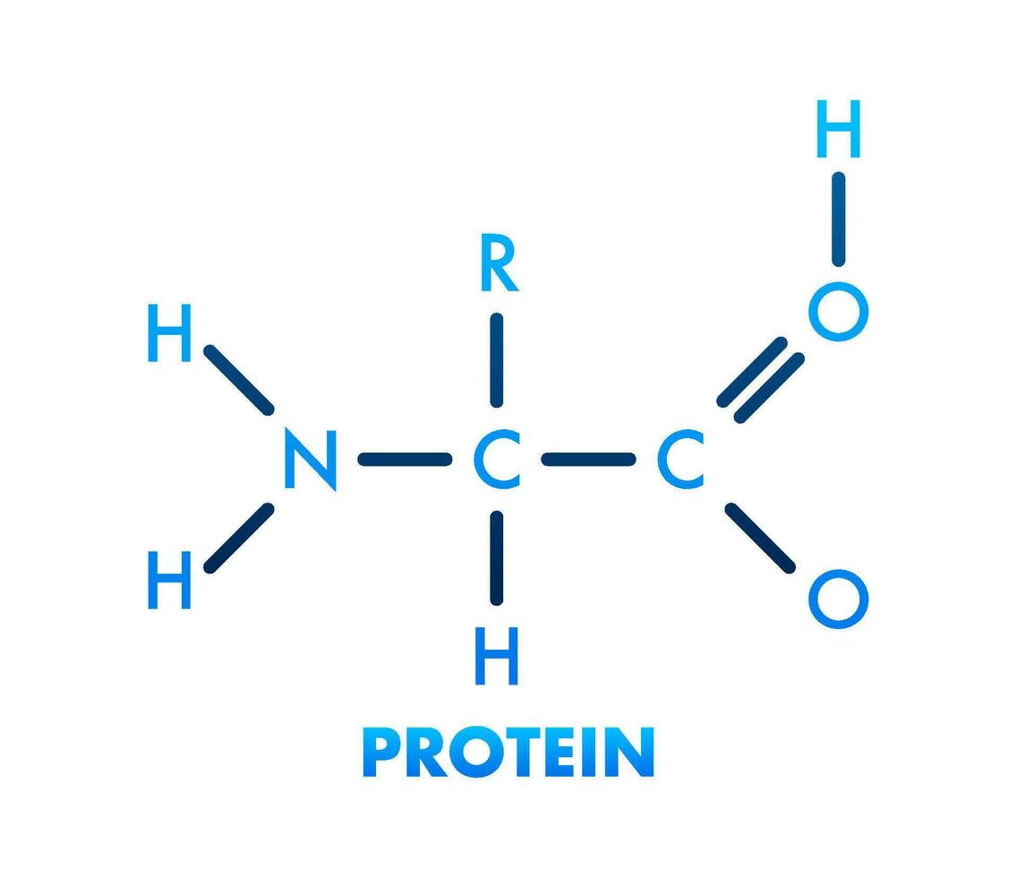 schizzo icona. creativo vettore illustrazione. proteina. strutturale chimico formula.