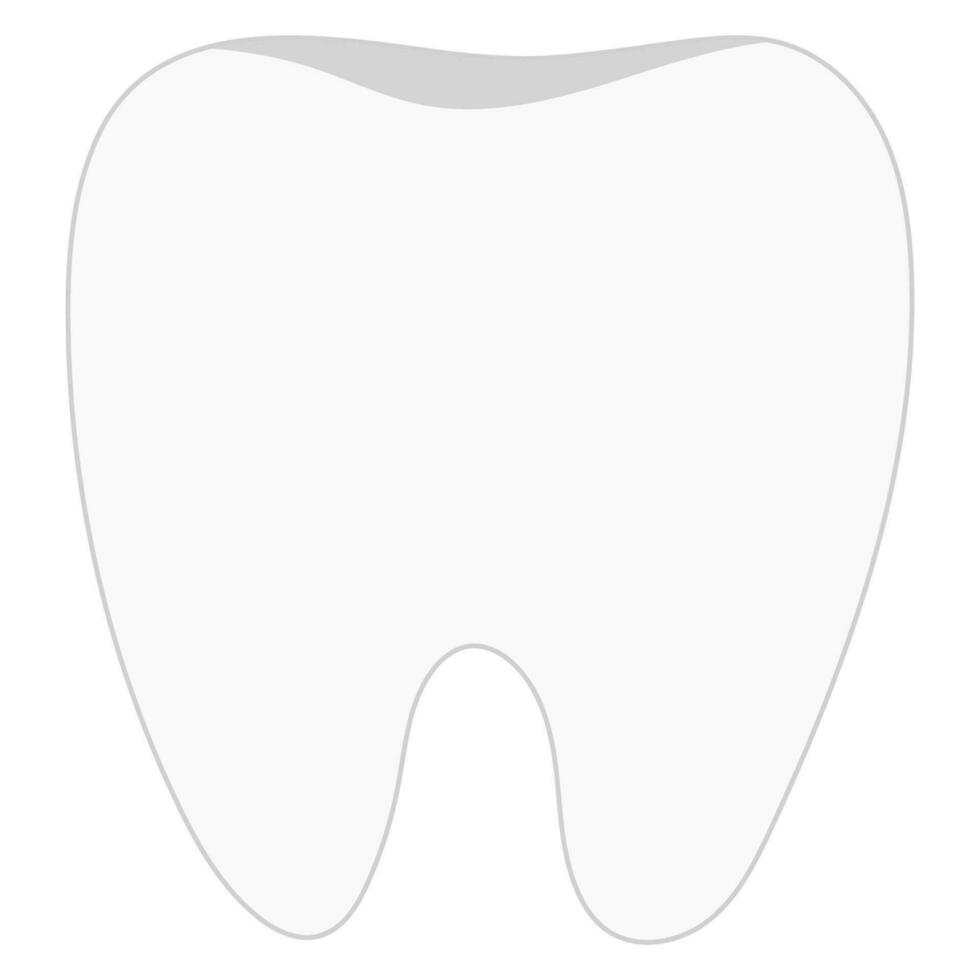 pulito dente isolato su bianca sfondo. vettore