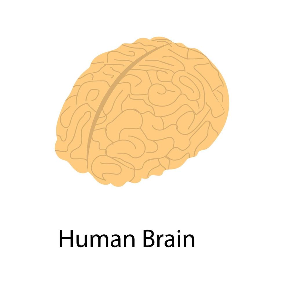concetti del cervello umano vettore