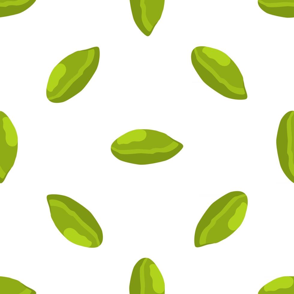 illustrazione sul tema modello grande tipi identici pistacchio vettore