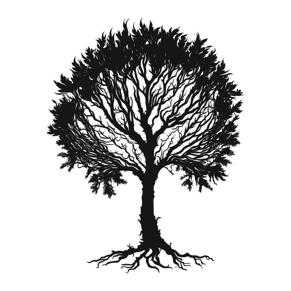 gratuito vettore silhouette albero collezione,