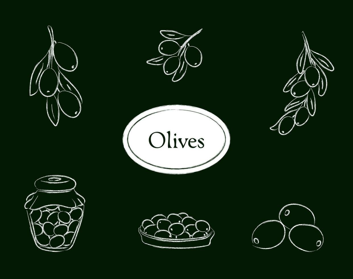 carbone stile oliva impostato isolato su un' verde sfondo, vettore illustrazione di frutta, oliva ramo, olive nel barattolo, e olive nel piatto