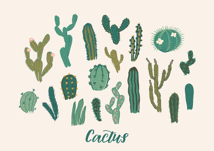 Set di raccolta di cactus. Illustrazione vettoriale Elemento di design