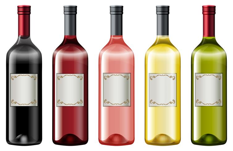Diversi colori di bottiglie di vino vettore