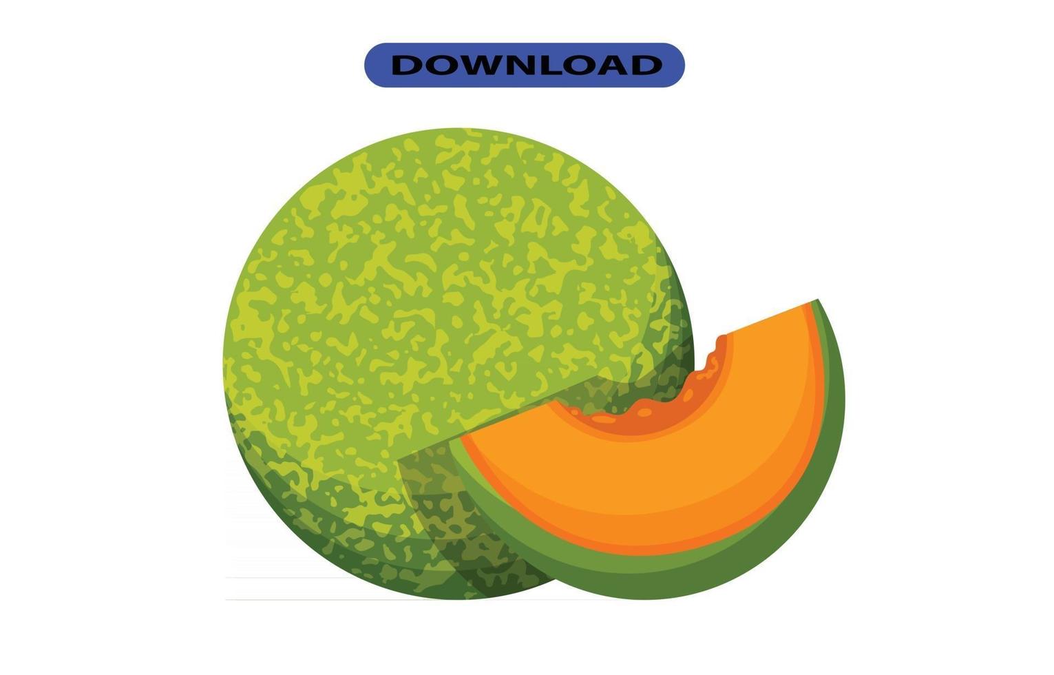 icona di melone o logo ad alta risoluzione vettore