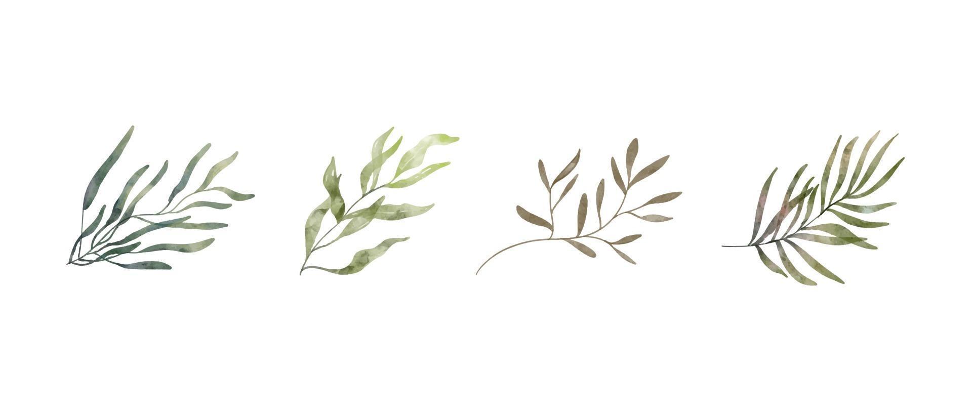 ramo verde astratto. illustrazione disegnata a mano dell'acquerello delle foglie. vettore