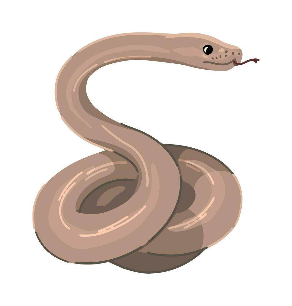 contorto serpente clipart isolato su bianca. cartone animato stile disegno di selvaggio animale rettile. Halloween raccapricciante fauna moderno vettore illustrazione.