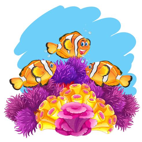 Corona di pesci che giocano nella barriera corallina vettore