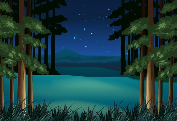 Scena della foresta di notte con le stelle vettore