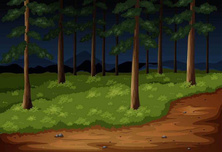 Scena della foresta con alberi e sentiero di notte vettore