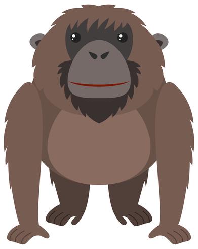 Orangutan marrone con faccia felice vettore