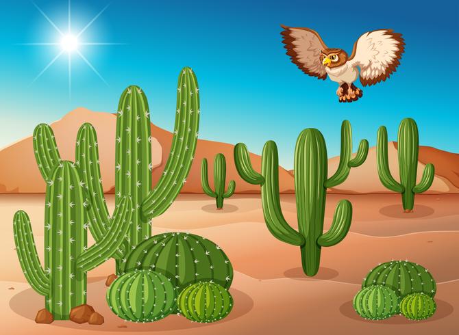 Gufo che sorvola cactus nel deserto vettore