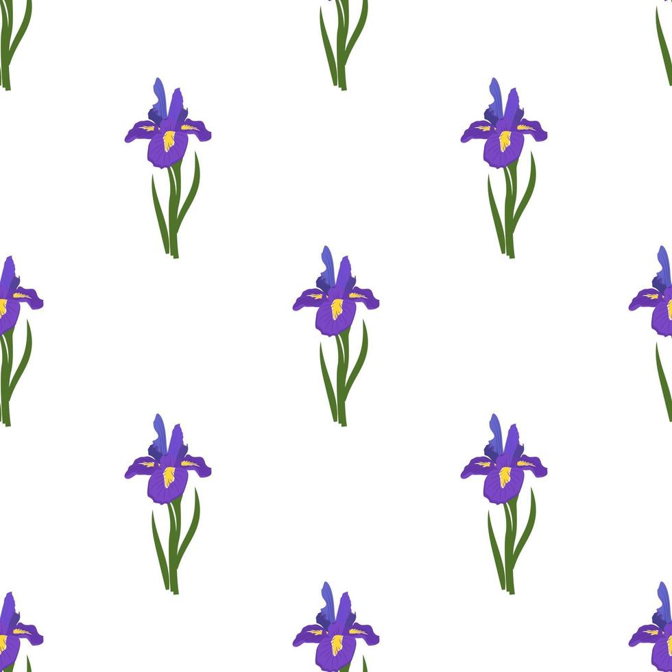 simpatico motivo senza cuciture di fiori di iris vettore