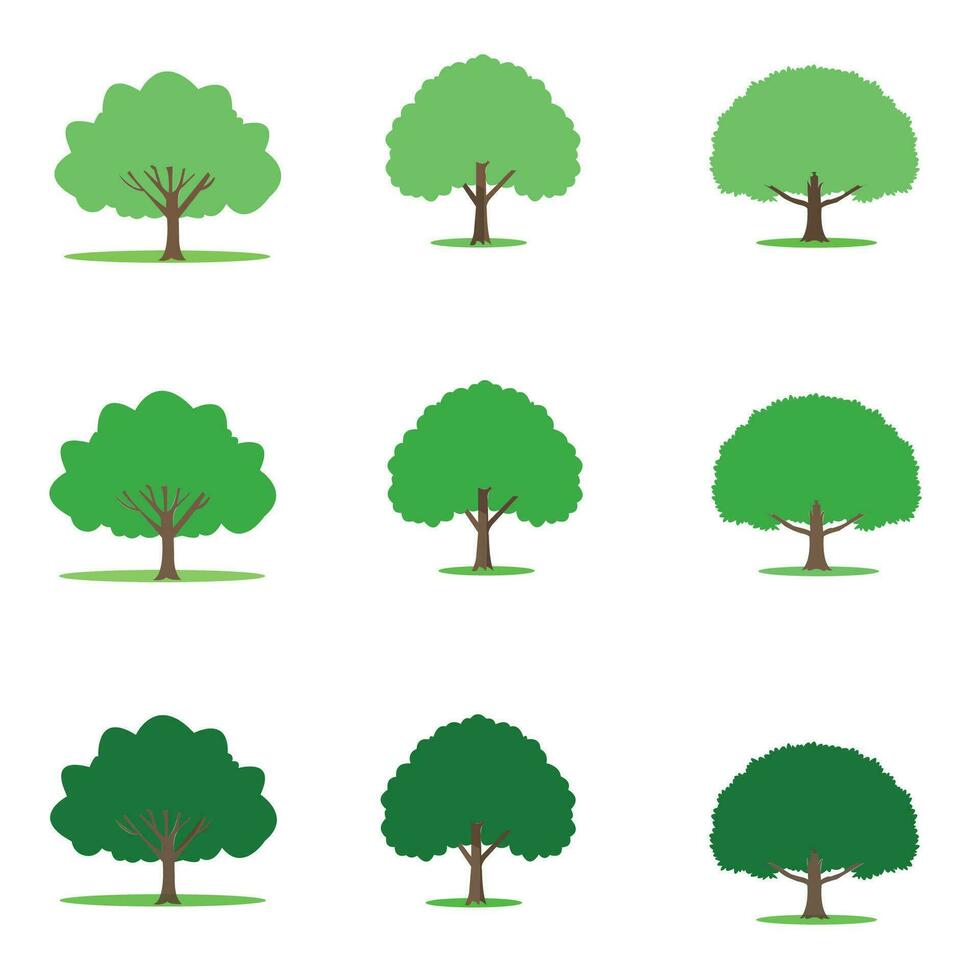 vettore impostato di varietà impianti e alberi