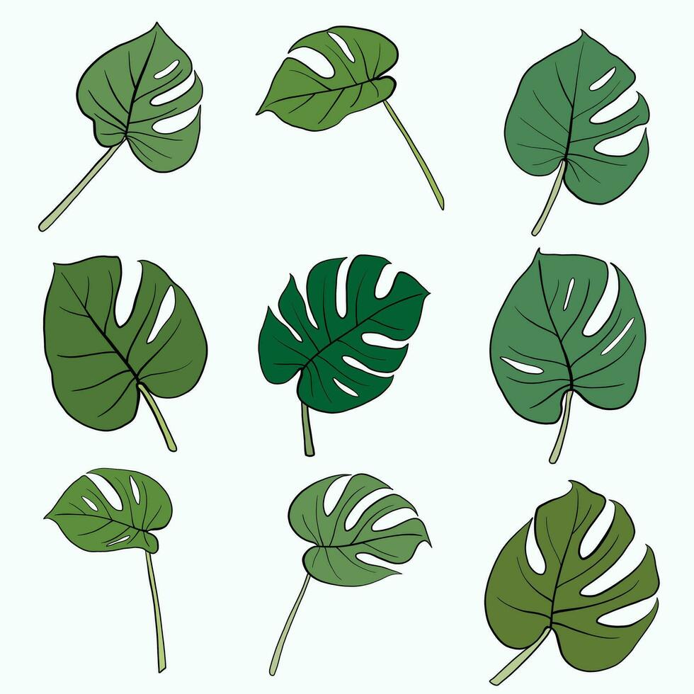 semplicità monstera foglia disegno a linea continua a mano libera design piatto. vettore