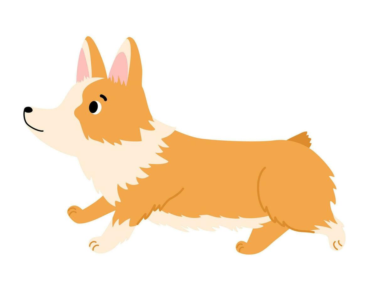 gallese corgi cardigan. cartone animato cane. animali domestici, animali, canino tema design elemento nel contemporaneo semplice piatto stile. vettore illustrazione isolato su il bianca sfondo.