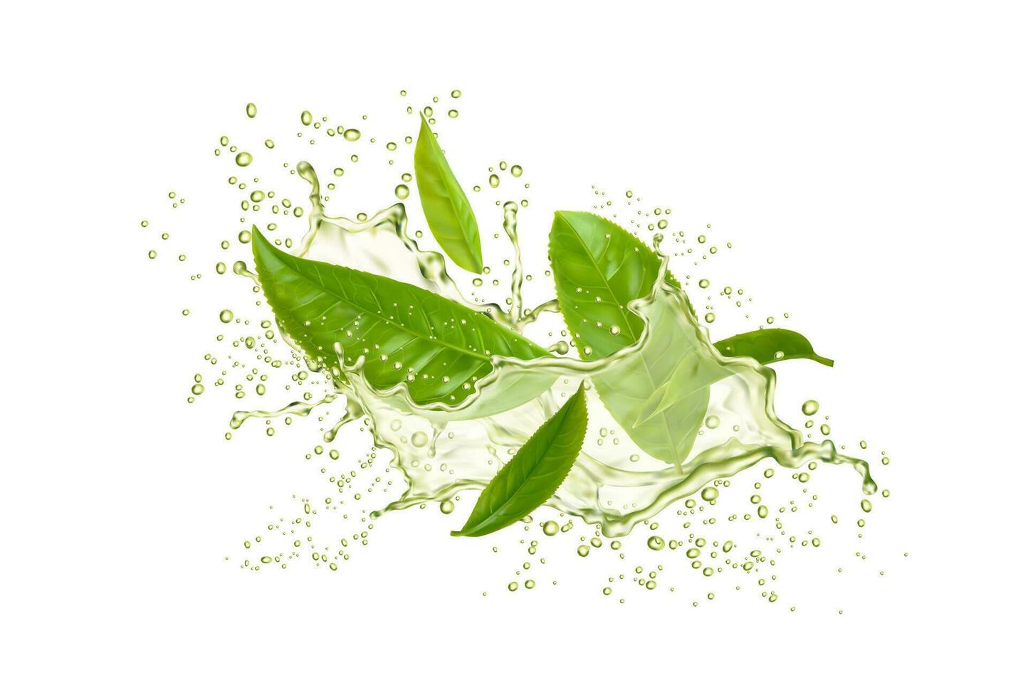 verde tè bevanda con foglie, spruzzo gocce di bevanda vettore